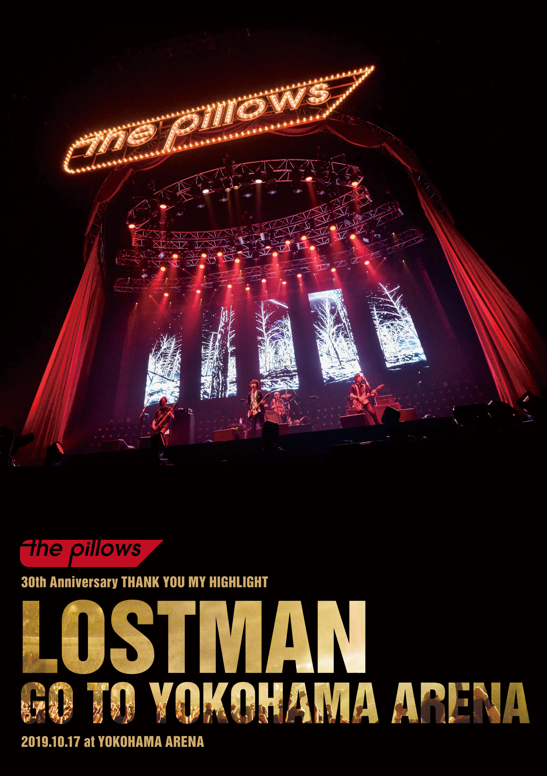 30周年記念公演のBlu-ray&DVD 2020年3月18日発売『LOSTMAN GO TO